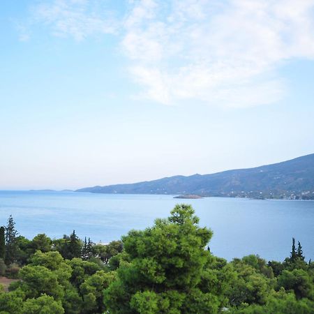 Maria Studios Poros Town Екстер'єр фото